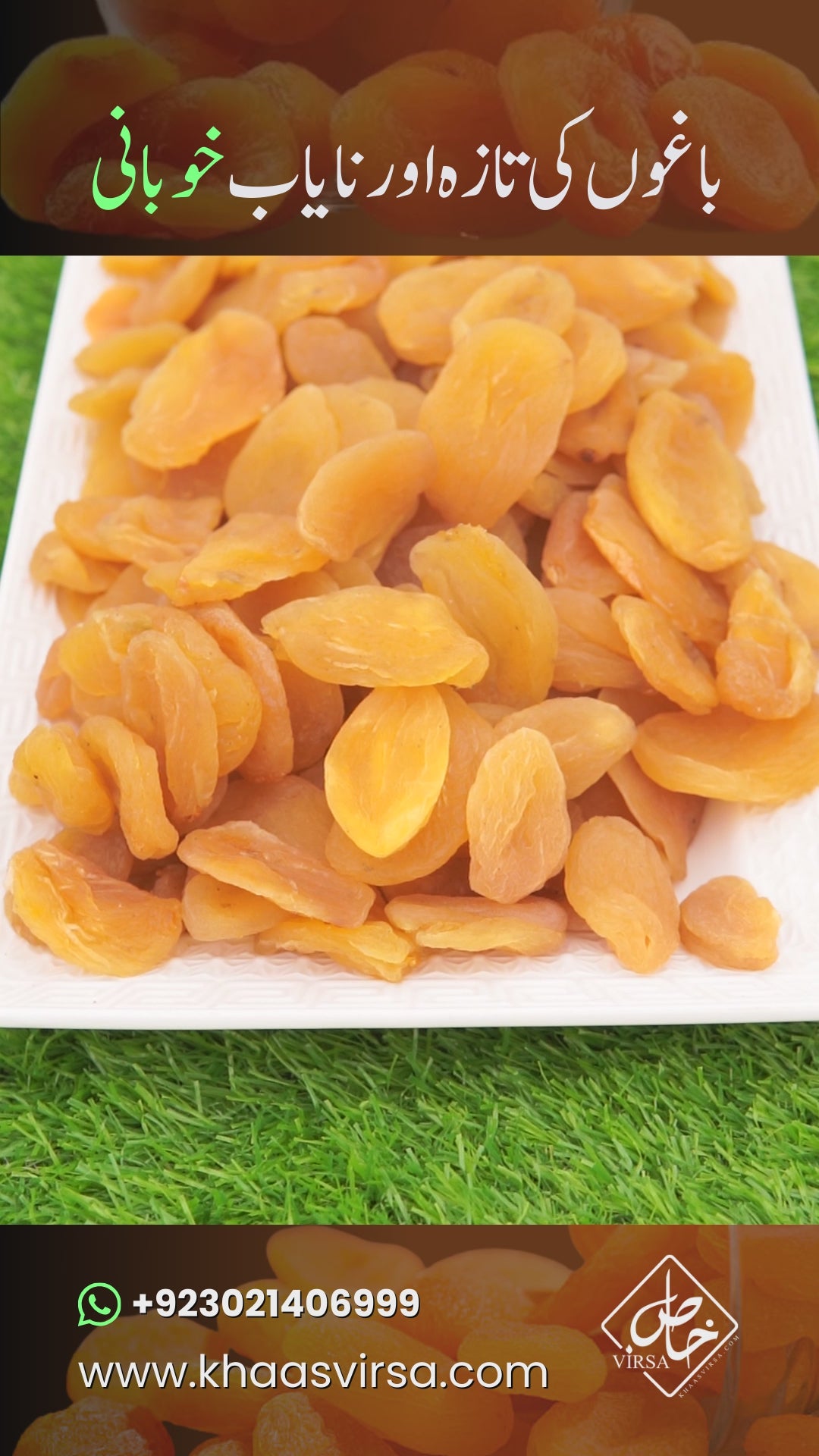 Premium Dried Plums (Alu Bukhara) – 100% Natural, Tangy & Digestive