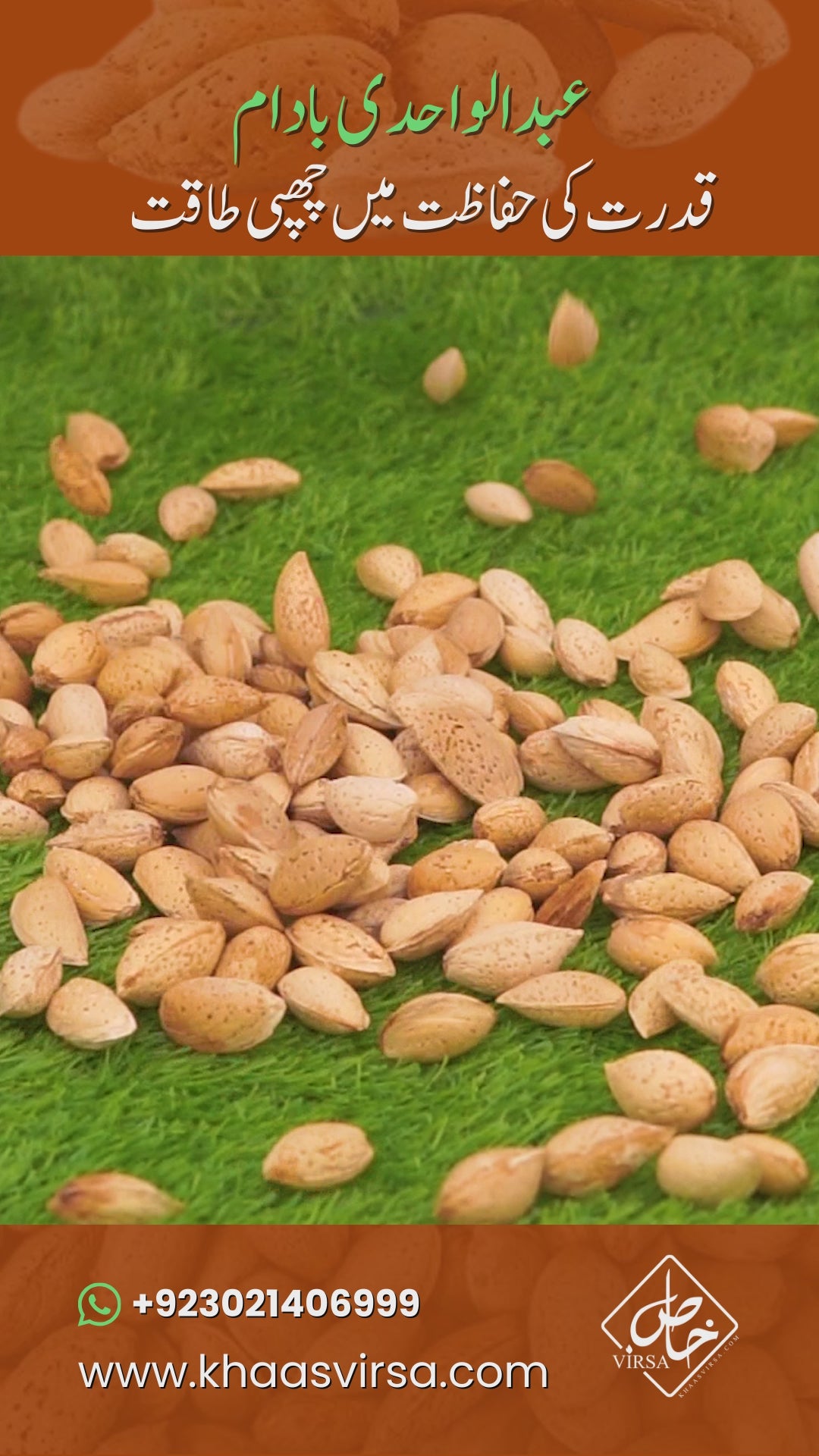 Premium Abdul Wahidi Badam (With Shell) – Authentic Kagzi Variety