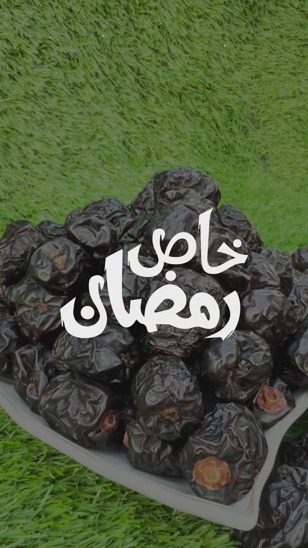 Premium Ajwa Dates – The King of Dates from Madina
